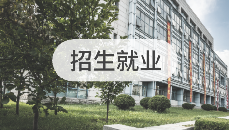 成人直播